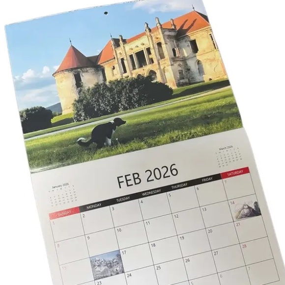 **Buy Now Ready** 2026 Humorous Dogs Pooping in Beautiful Places Wall Calendar - Picture 5 of 5